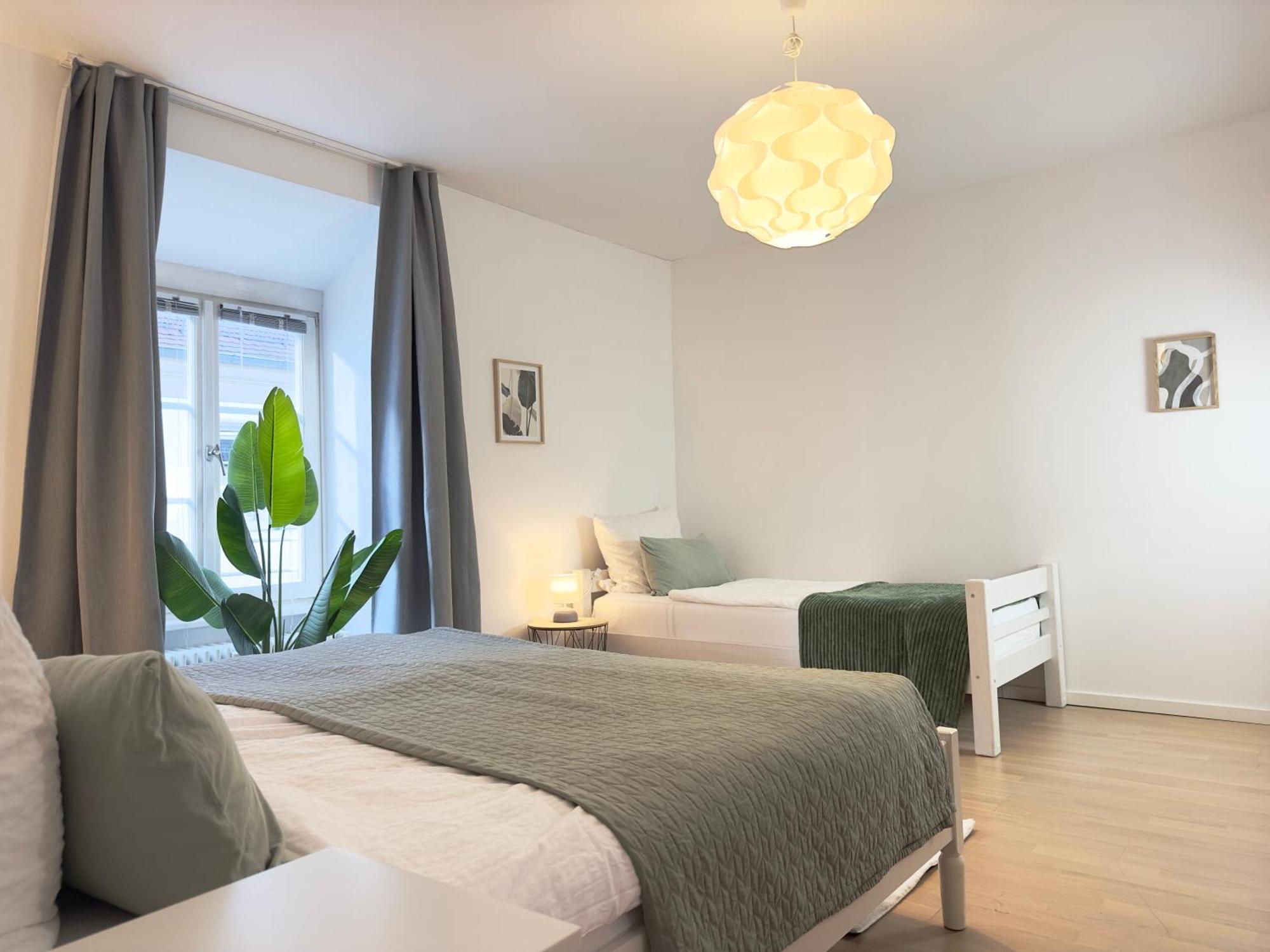 Luxury Old Town Suite - Xxl Terrasse & Xxl Penthouse Хайдельберг Экстерьер фото
