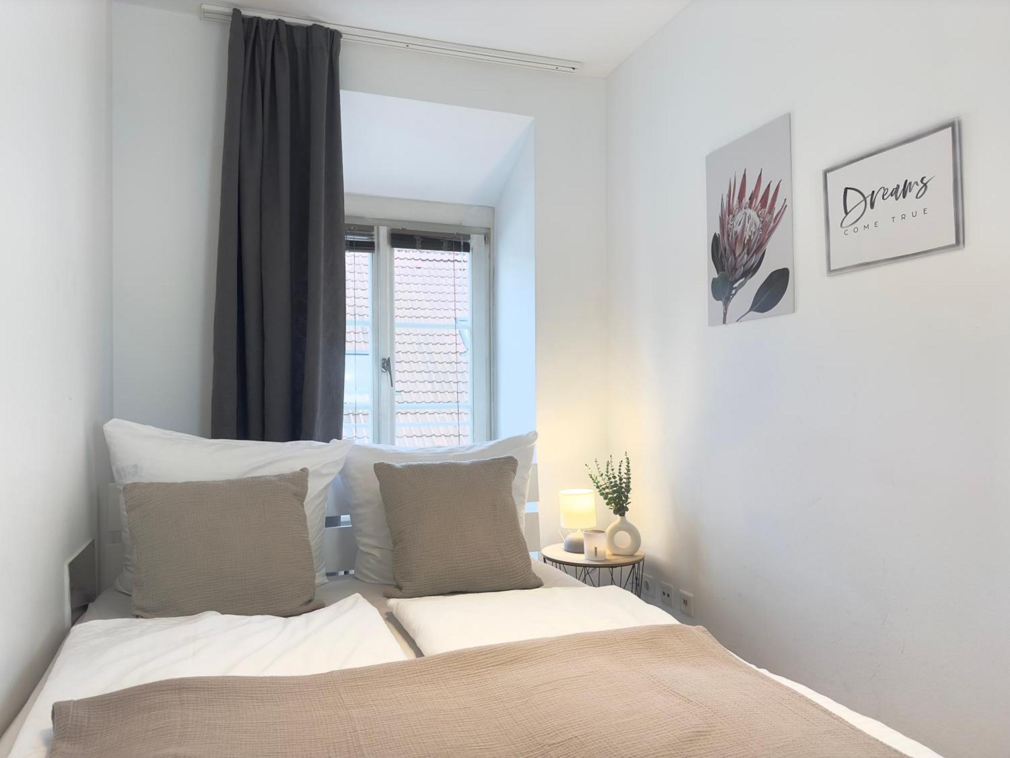 Luxury Old Town Suite - Xxl Terrasse & Xxl Penthouse Хайдельберг Экстерьер фото