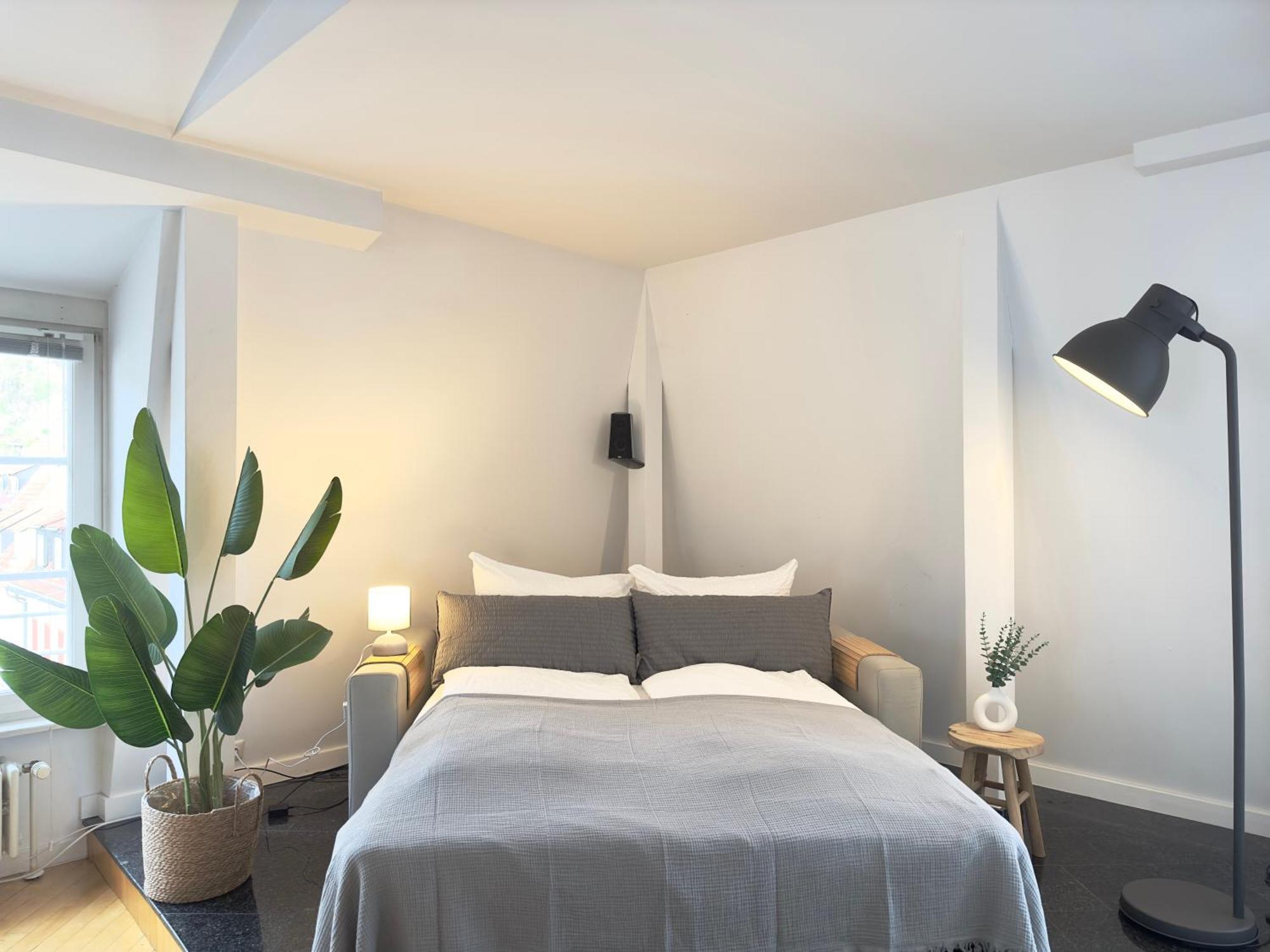 Luxury Old Town Suite - Xxl Terrasse & Xxl Penthouse Хайдельберг Экстерьер фото